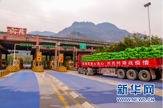 重庆武隆50吨优质高山蔬菜驰援湖北夷陵于13日晚抵达