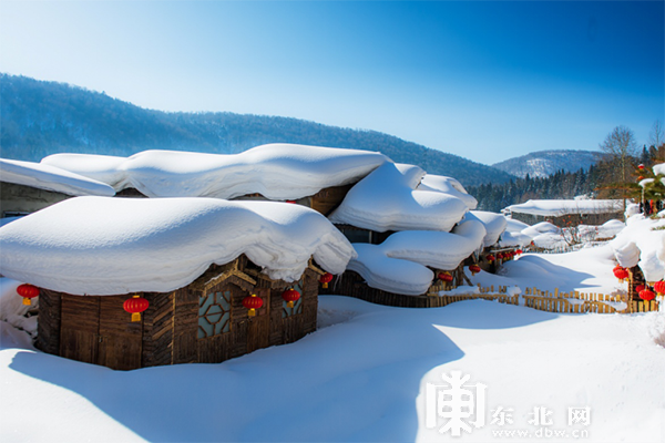 下雪啦！黑龙江奉上冰雪百景绚丽景致