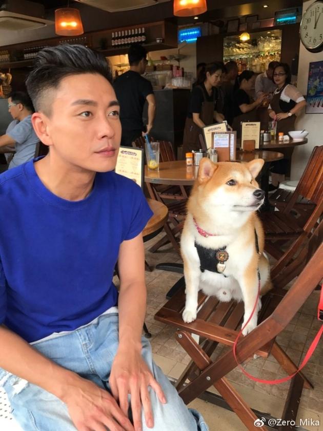 黄宗泽合影可爱柴犬 表情神同步萌翻网友(图)