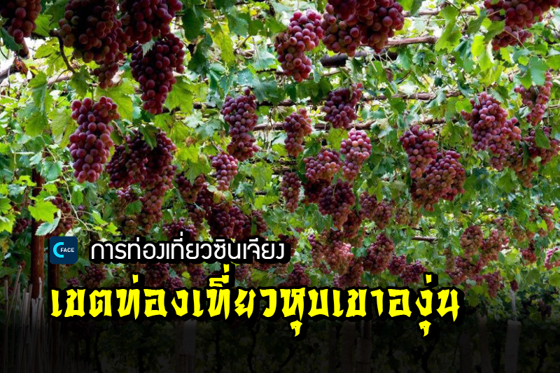 ท่องเที่ยวซินเจียง--เขตท่องเที่ยวหุบเขาองุ่น (Grape Valley)