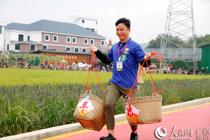 稻香渔米唱丰年 龙圩喜迎丰收节