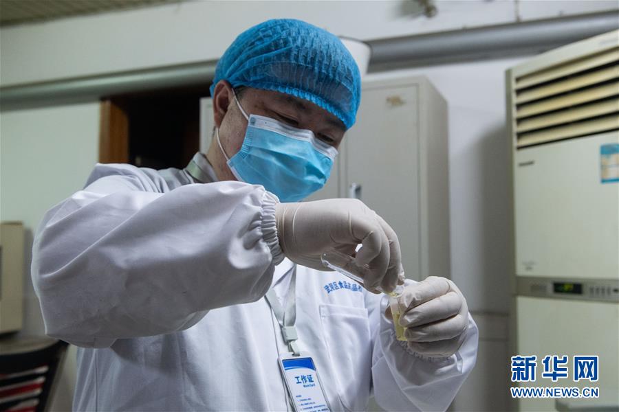 「新华网」守护“菜篮子”安全