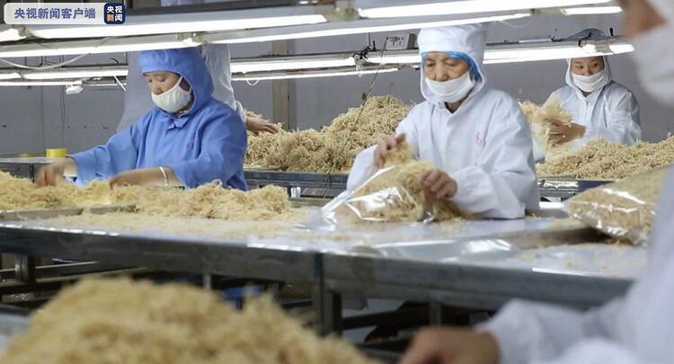 云南农产品出口逆势增长 前10月同比增长8.2%