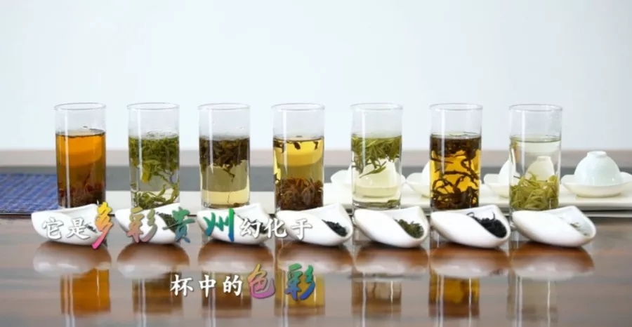 (要闻)杯中一盏茶,多彩贵州情