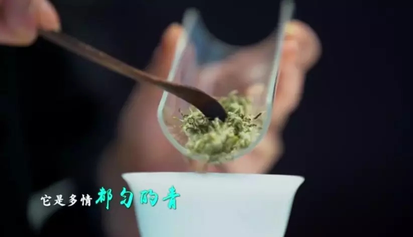 (要闻)杯中一盏茶,多彩贵州情
