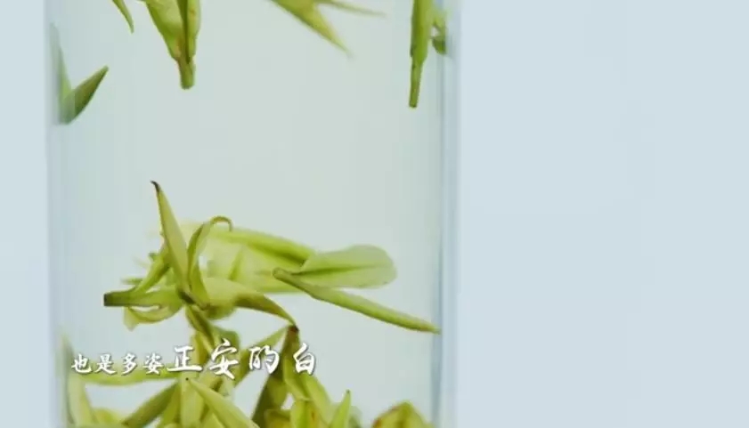 (要闻)杯中一盏茶,多彩贵州情