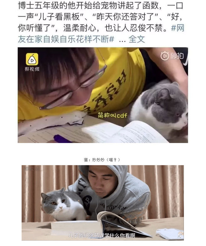 图片默认标题_fororder_f8-1