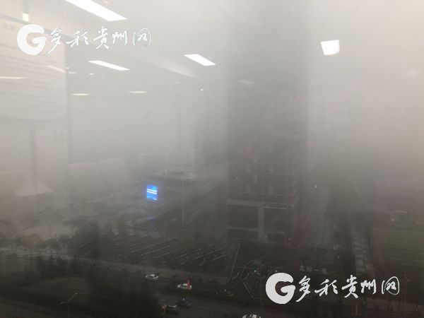 （旅游）出行注意！12月24日贵州省发布大雾黄色预警