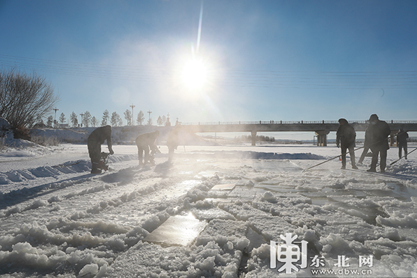“北极漠河冰雪大观园”开始采冰