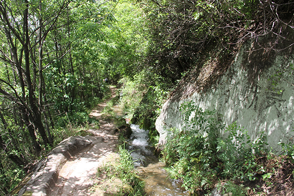 图片默认标题_fororder_荔枝古道