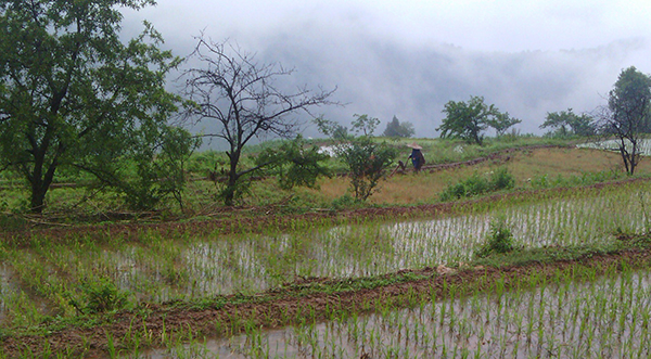 图片默认标题_fororder_农耕文化