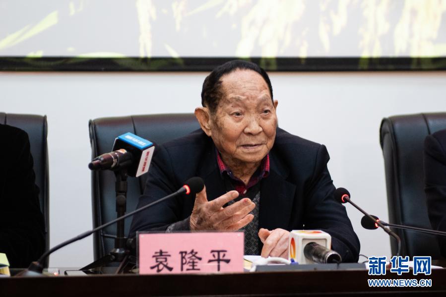 “90后”袁隆平“比拼”稻田“后浪”