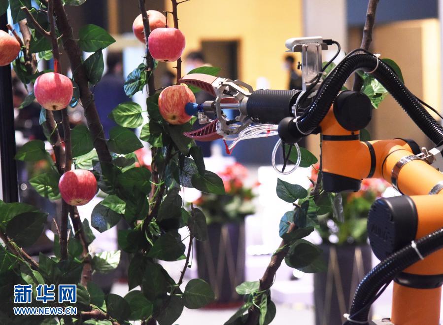 2020中国机器人产业发展大会在青岛举行
