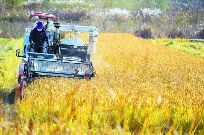 南京市农业机械化水平超90%