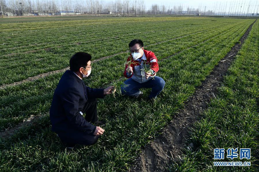 新华网@别样的春耕——来自农业大省山东的春耕备耕见闻