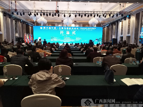 第六届中国—东盟传统医药论坛在广西桂林成功举办