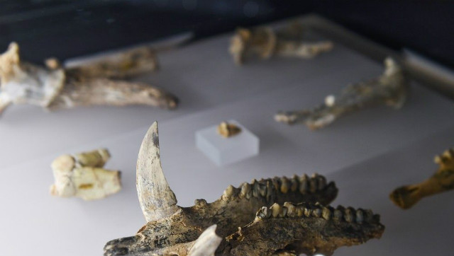 พิพิธภัณฑ์โบราณคดีลั่วหยาง