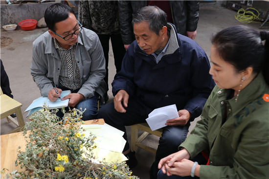 山花野草变为宝 染织研究教学实验基地在河南汝州挂牌成立