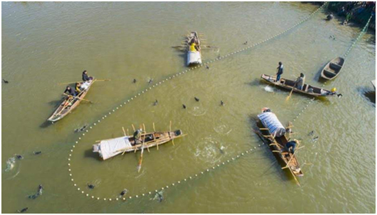（供稿 旅游图文 CHINANEWS带图列表 移动版）南通海安第八届里下河捕鱼节开幕