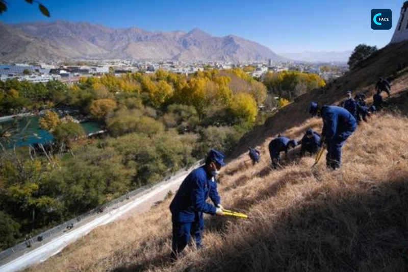 พระราชวังโปตาลาในทิเบตเริ่มปฏิบัติการกำจัดวัชพืชเพื่อป้องกันไฟไหม้
