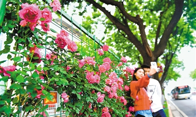 西安第九次蝉联中国最具幸福感城市