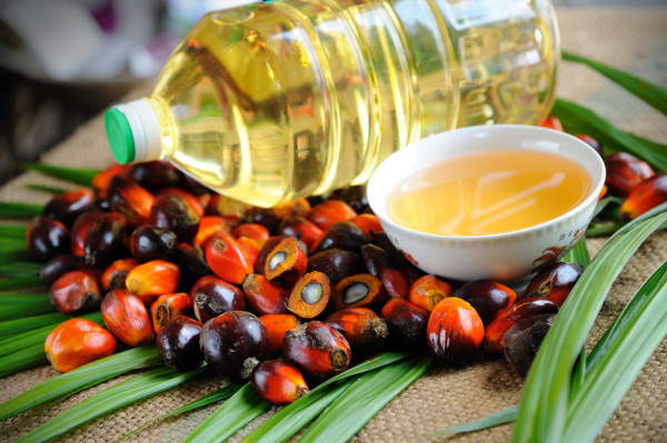 国际原棕榈油价格上涨 马来西亚政府表示或可征收暴利税