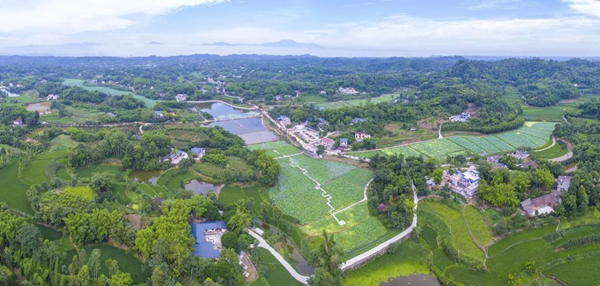 乐山五通桥区牛华镇：香飘燕山 诗居田园