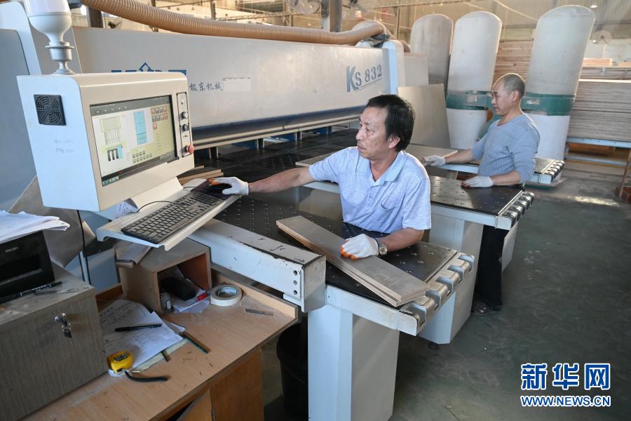 福建邵武:引导产业转型升级 推动产业绿色发展