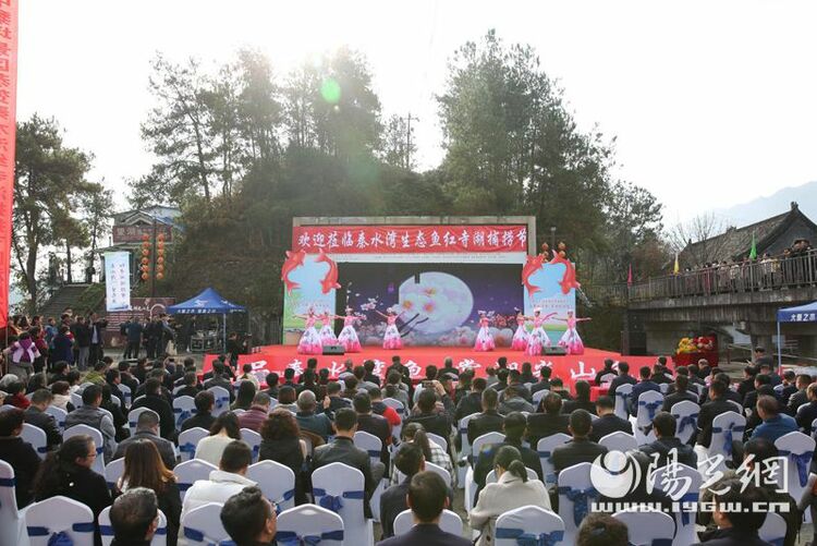 1条鱼8800元“秦水湾”生态鱼首网4.5万斤售罄