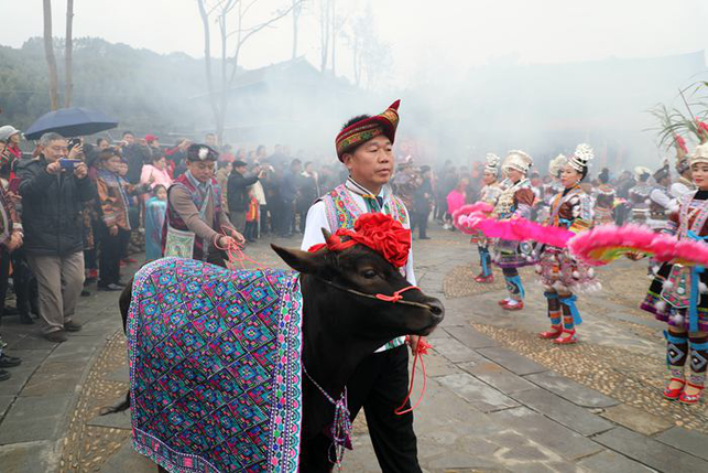 柳州融水： 红红火火过苗年 欢欢喜喜闹新春