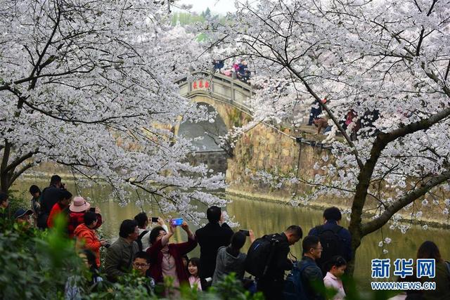 图片默认标题 图片默认标题_fororder_B9528