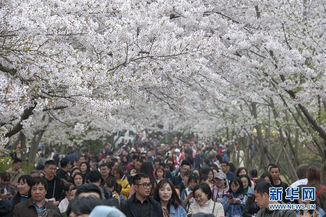 图片默认标题 图片默认标题_fororder_B9530