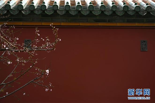 图片默认标题_fororder_1124297356_15537741170351n
