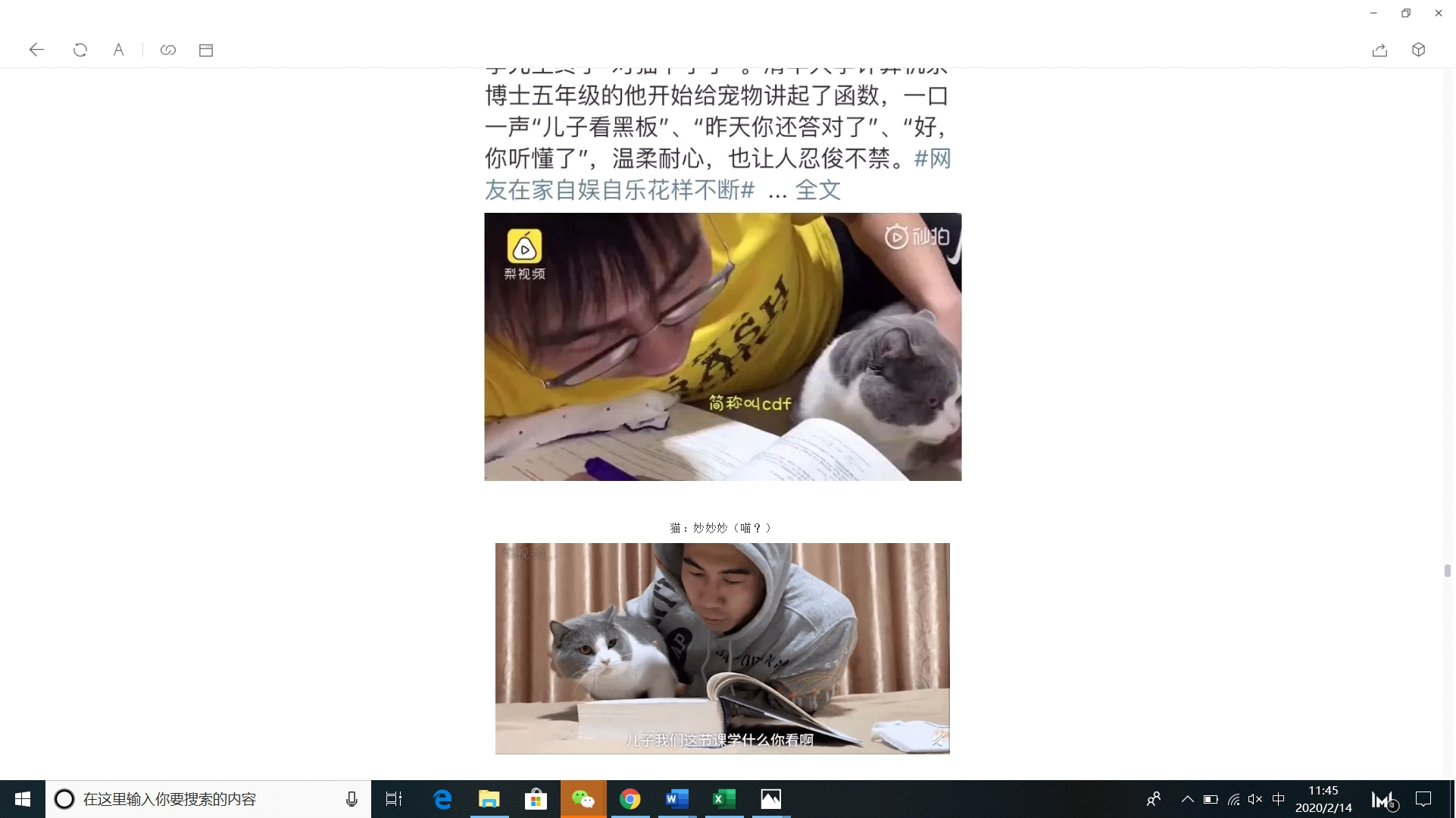 图片默认标题_fororder_猫