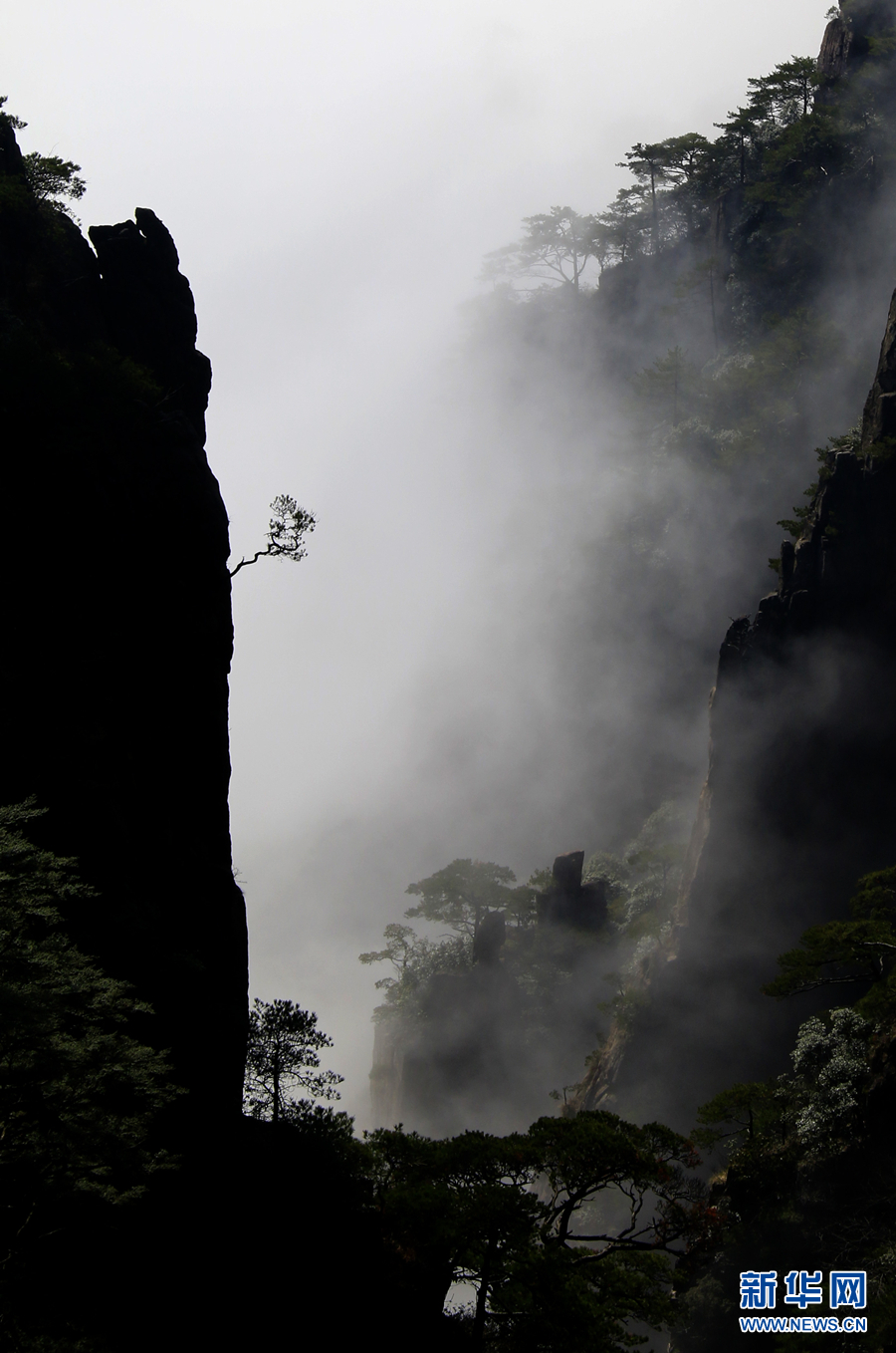 12月23日,在黄山风景区西海大峡谷拍摄的变幻多姿的壮观云海