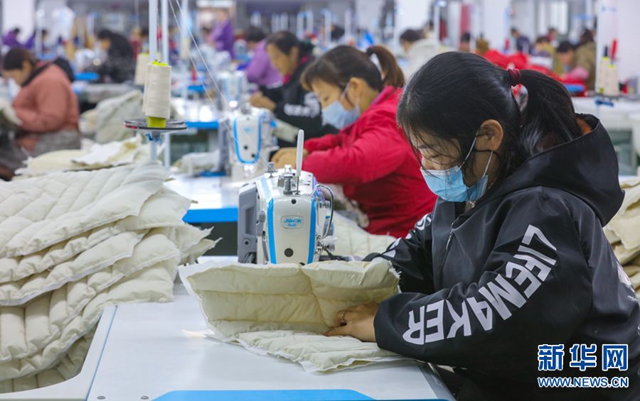 河南光山：小羽绒成就大产业