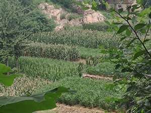 9月20日 火曜日 9月20日 火曜日