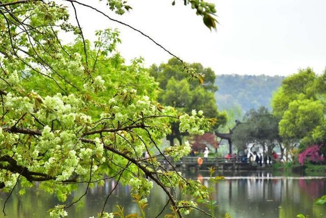 图片默认标题_fororder_5