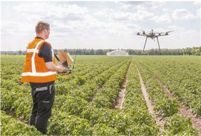 荷兰农场用高新技术实现精准生产