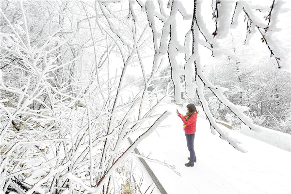 湖北保康迎来今冬首场雪