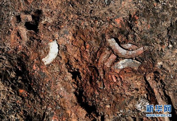 河南洛阳发现2600多年前戎人王级大墓