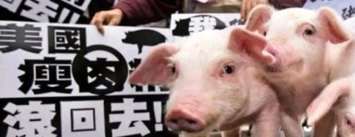 “猪事”不利！美国人不想吃的，都甩给了台湾