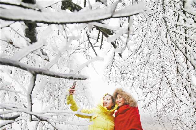 重庆迎来今冬第一场雪