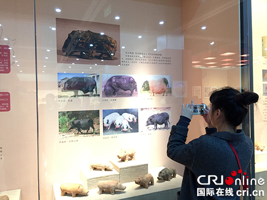 【CRI专稿 列表】重庆中国三峡博物馆办“金猪贺岁”展邀市民过文化年