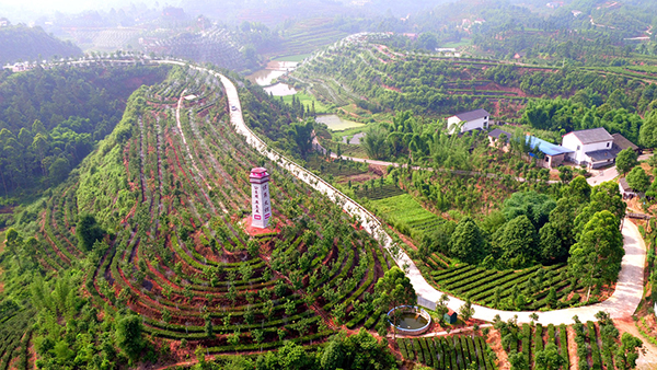 图片默认标题_fororder_一体化山水田园路