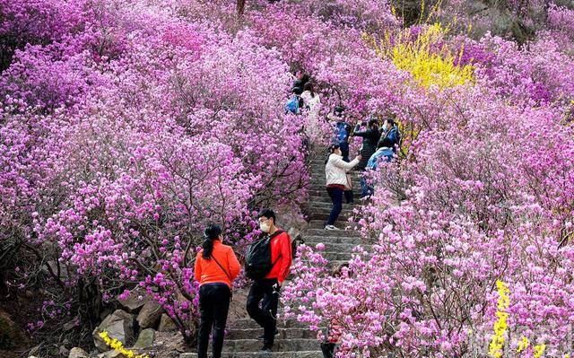 全国山岳型景区百强名单出炉 山东这5家景区上榜