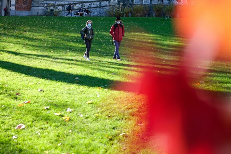 欧洲抗疫故事|胜利的钟声