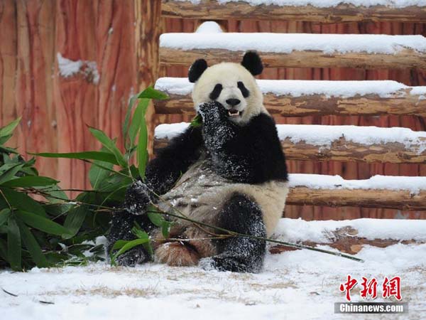 图片默认标题_fororder_43