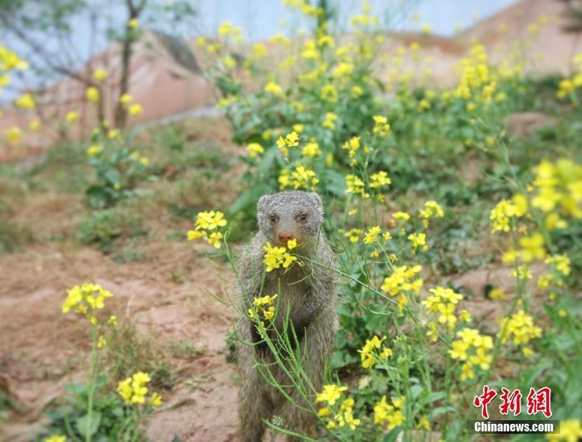图片默认标题_fororder_B9565