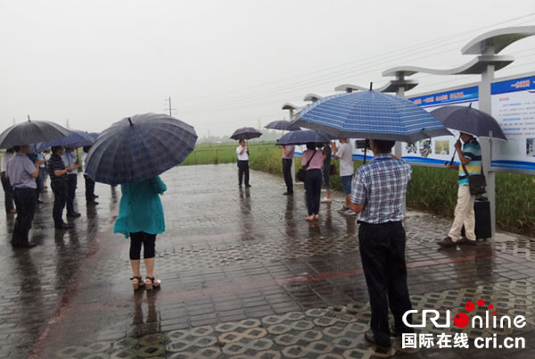 图片默认标题_fororder_2